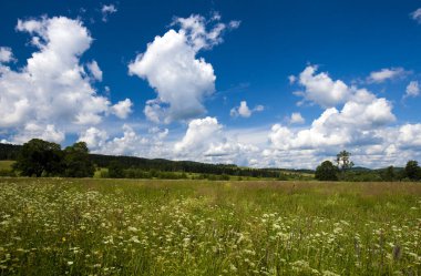 # Arazi ve bulutlarla dolu yaz manzarası
