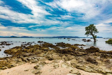 Güzel tropikal plajlar Deniz ve gökyüzü