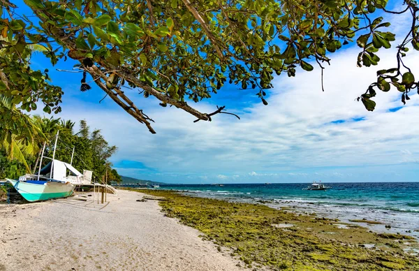 Bella Spiaggia Tropicale Con Palme Cielo Blu — Foto Stock