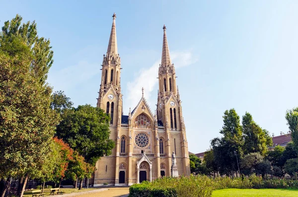 Widok Katedrę Piotra Pawła Lecie — Zdjęcie stockowe