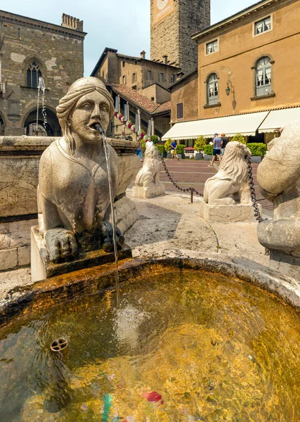 Fontaine Sur Place Della Signoria Rome Italie — Photo