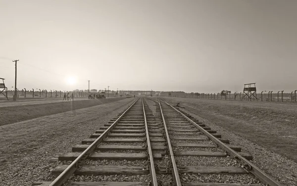 Железнодорожная Трасса Тумане — стоковое фото