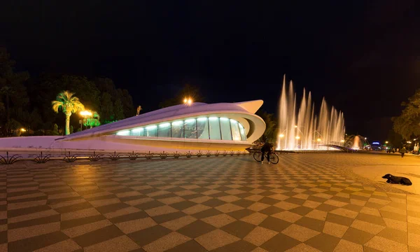 Batumi Georgia Octubre 2014 Centro Ciudad Por Noche Batumi Con —  Fotos de Stock