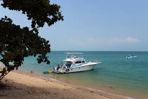 Tropikalna Plaża Palmami Błękitnym Niebem — Zdjęcie stockowe