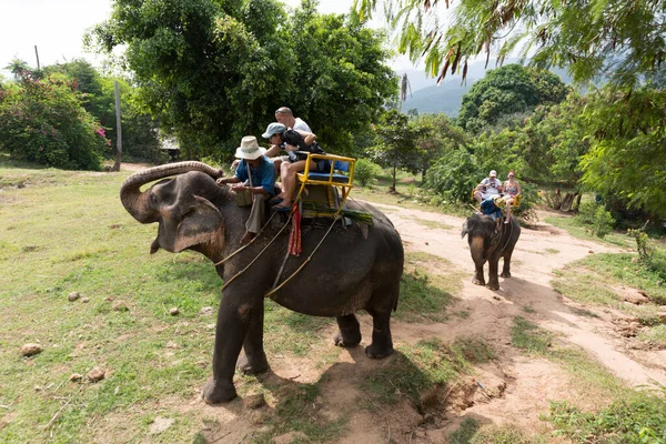 Samui Tailandia Diciembre Turistas Identificados Cabalgando Elefante Selva Samuí Tailandia —  Fotos de Stock