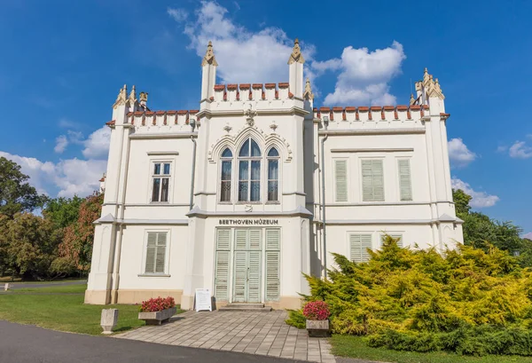 Igreja Velha Cidade Schwerin — Fotografia de Stock