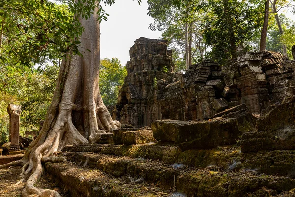 Prohm Temple Angkor Wat Siem Reap Cambodia — Stock Photo, Image