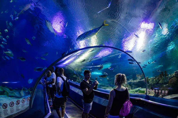 Kuala Lumpur Malaysia January 2017 Aquarium Oceanarium Located Kuala Lumpur — Stock Photo, Image