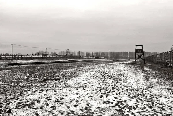 Foto Bianco Nero Della Neve — Foto Stock