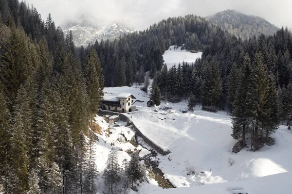 Зимовий Пейзаж Засніженими Деревами — стокове фото