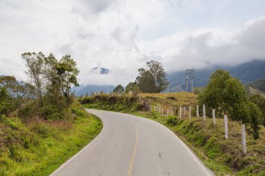 Kolombiya 'daki Cocora Vadisi