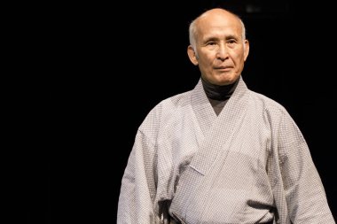 BUDAPEST, HUNGARY - 9 Ocak 2012 'de Macaristan' ın Budapeşte kentindeki Merlin Tiyatrosu 'nda Laomedia.