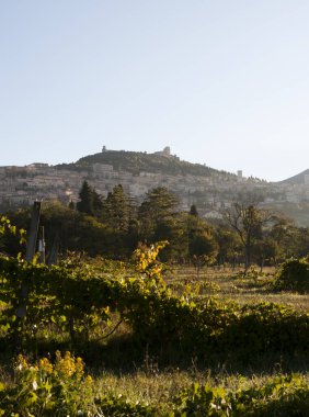 Beton tepelerin manzarası, Yunan