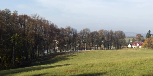 Jesienny Krajobraz Drzewami Trawą — Zdjęcie stockowe