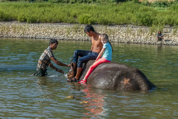 ミャンマーの象に乗る人々 — ストック写真