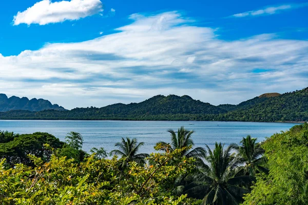 Tropical Island Palm Trees Blue Sky — Stock Photo, Image