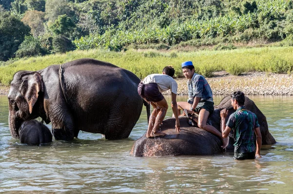 People Riding Elephant Myanmar — Stock Photo, Image