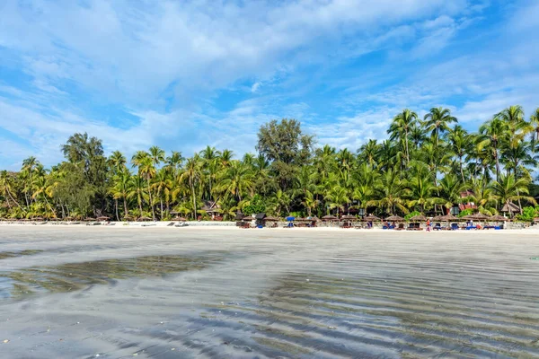 Tropical Beach Palms Blue Sky — Stock Photo, Image