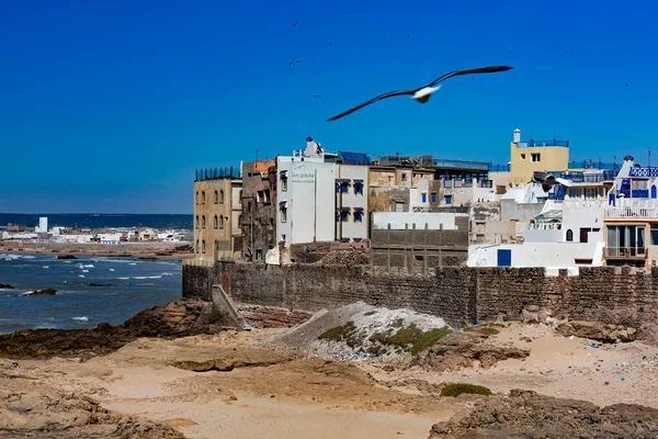 Kilátás Nyílik Város Essaouira Morocco — Stock Fotó