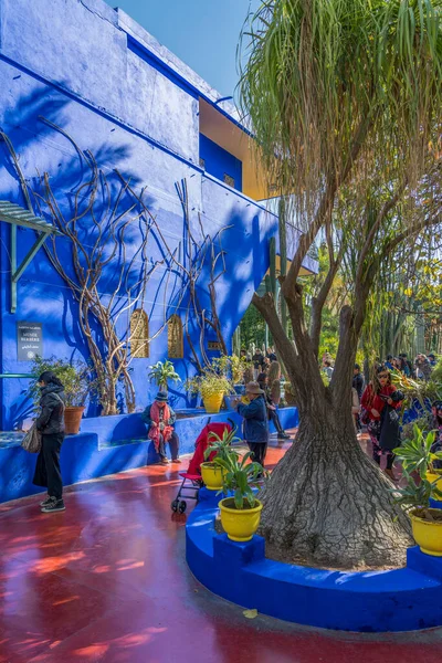 Jardim Tropical Edifício Moderno Com Visitantes — Fotografia de Stock