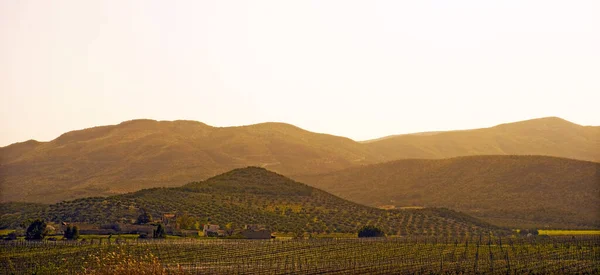 Landschaft Der Weinberge Den Bergen Italiens — Stockfoto