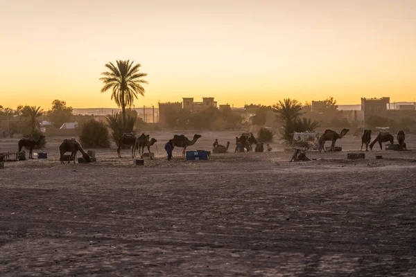 Wüstenlandschaft Marokko — Stockfoto