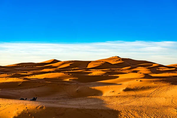 Merzouga Deserto Del Sahara Marocco — Foto Stock