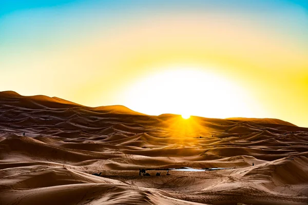 Merzouga Deserto Del Sahara Marocco — Foto Stock