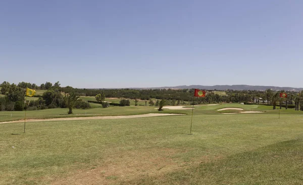 Srail Güneyindeki Golf Sahasında — Stok fotoğraf