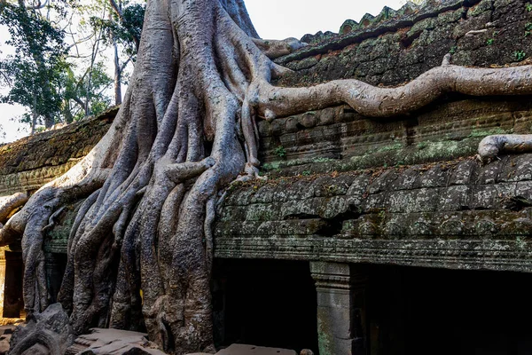 Angkor Wat Siem Reap Camboja — Fotografia de Stock