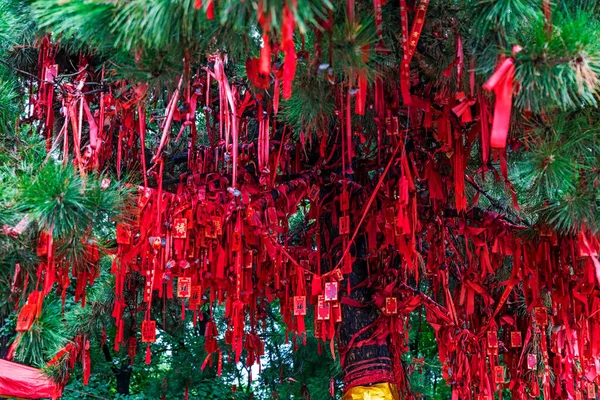 Décoration Arbre Noël Sur Fond Des Sapins — Photo