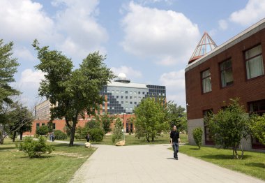 Yazın bir şehir parkı manzarası