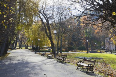 Kentte bankları ve bankları olan sonbahar parkı