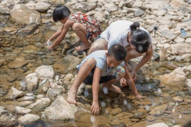 Stone River 'daki Asyalılar