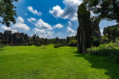 Güzel tropikal dağ manzarası
