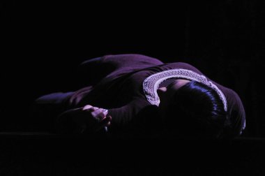 BUDAPEST, HUNGARY - 7 Ekim 2010 'da Macaristan' ın Budapeşte kentinde bulunan Müzik Akademisi 'nin sahnesindeki Ses Göç Konseri' nde Japon aktris..