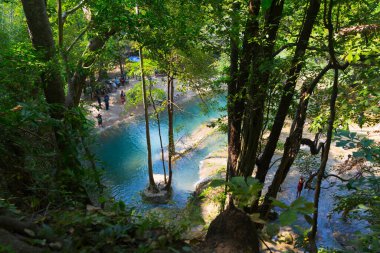 Nehir ve ormanlı güzel tropikal bir manzara.