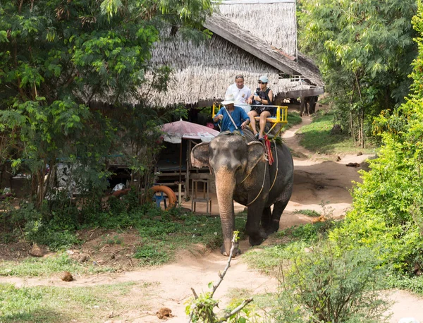 Samui Thailand December Unidentified Tourists Riding Elephant Samui Jungle Thailand — Stock Photo, Image