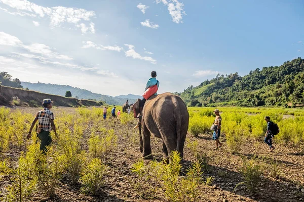 People Riding Elephant Myanmar — Stock Photo, Image