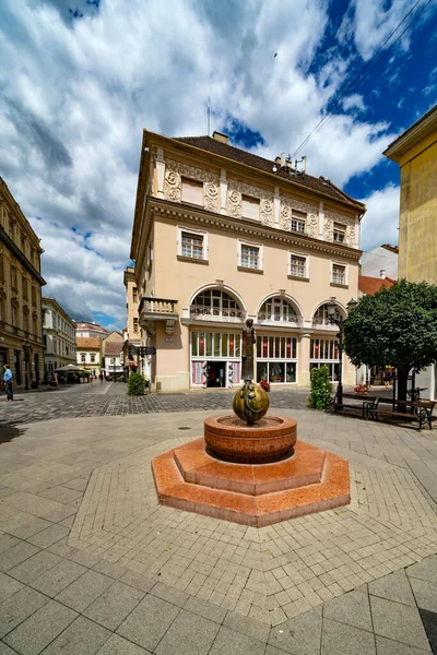 Gyor 2020年6月4日 ハンガリー ガイアのダウンタウン ギュアには美しいバロック様式の旧市街があります — ストック写真