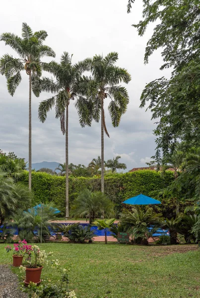 Pereira Colombia Ekim 2015 Hacienda Castilla Livinghotel Pereira Yakınlarında Bir — Stok fotoğraf