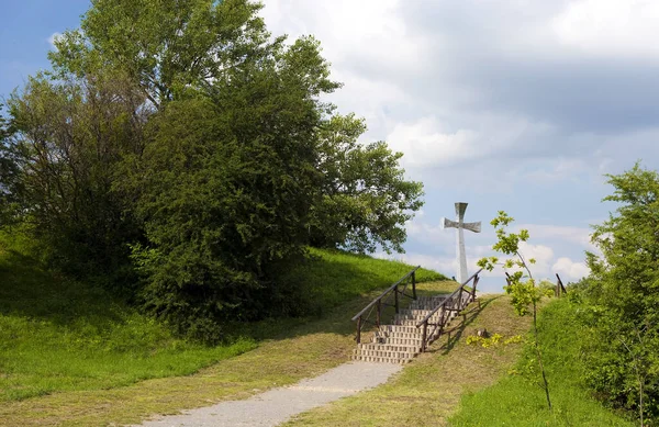 Wooden Bridge Park — Stock Photo, Image