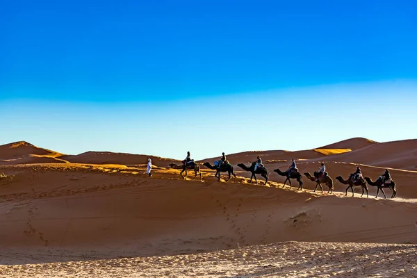 Personas Que Viajan Camellos Desierto Arena — Foto de Stock