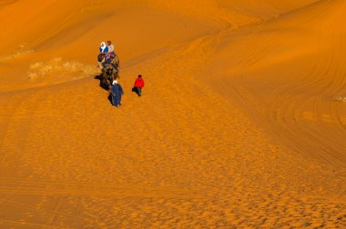People travelling on camels in desert
