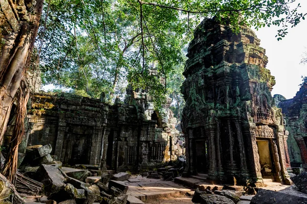 Antike Ruinen Des Prohm Tempels Angkor Wat Siem Reap Kambodscha — Stockfoto