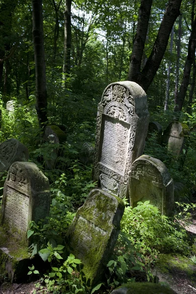 Vecchia Statua Legno Nel Bosco — Foto Stock