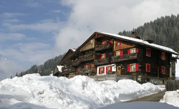 Vinter Bergslandskap Med Snötäckta Träd — Stockfoto