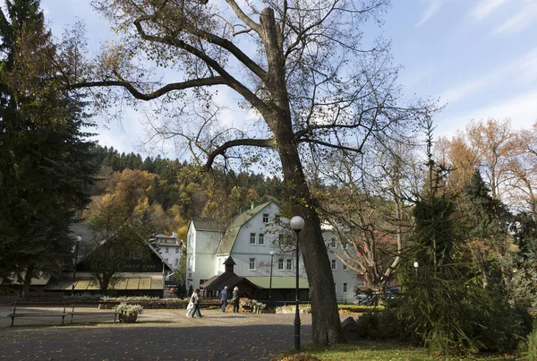 Vieille Église Bois Dans Parc — Photo