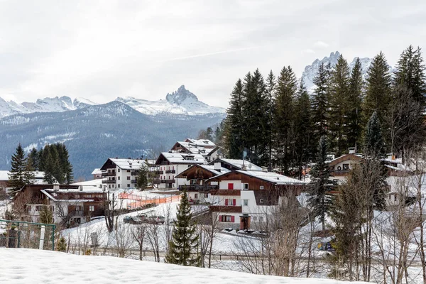 Inverno Paisagem Montanhosa Com Árvores Cobertas Neve — Fotografia de Stock