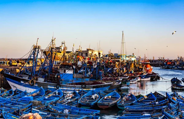 Bateaux Dans Port Essaouira Maroc — Photo